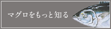 マグロをもっと知る