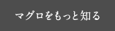 マグロをもっと知る